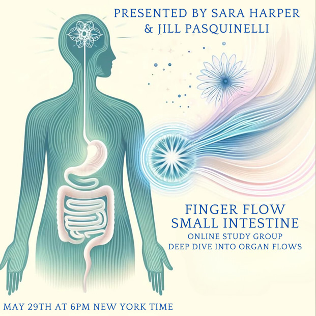 Finger Flow Small Intestine – Online Study Group – Deep Dive Into Organ Flows – May 29th (2024)