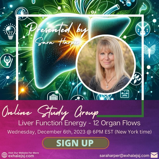 Liver Function Energy – Online Study Group – The 12 Organ Flows – December 6th (2023)