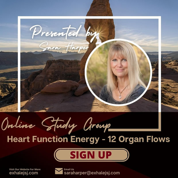 Heart Function Energy - Online Study Group - The 12 Organ Flows - May 3rd (2023)
