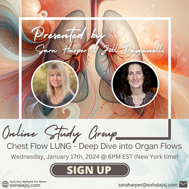 Chest Flow LUNG – Online Study Group – Deep Dive Into Organ Flows – January 17th (2024)