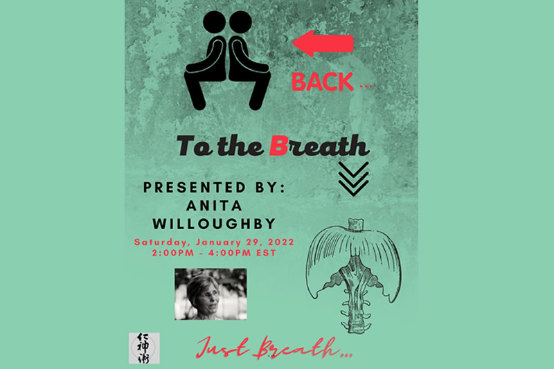 BACK to the Breath for a Healthy and Happy BACK!