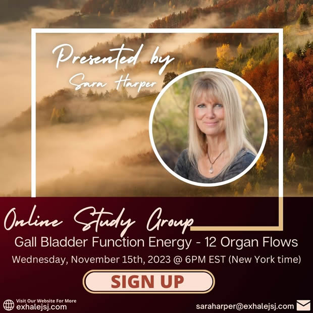 Gall Bladder Function Energy – Online Study Group – The 12 Organ Flows – November 15th (2023)