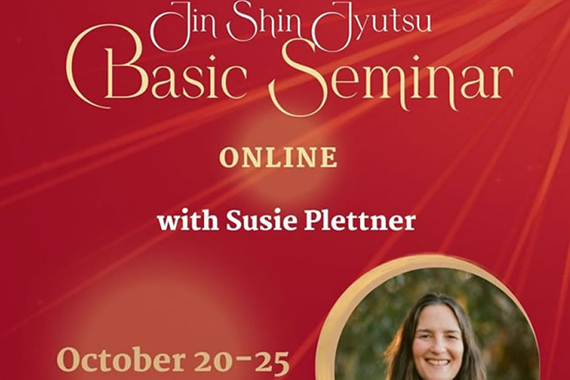 Online Basic Seminar - October 20-25
