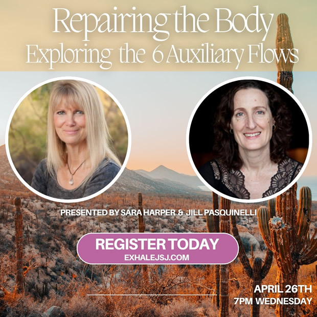 Repairing the Body - Exploring the 6 Auxiliary Flows Study Group