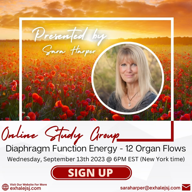 Diaphragm Function Energy – Online Study Group – The 12 Organ Flows – September 13th (2023)