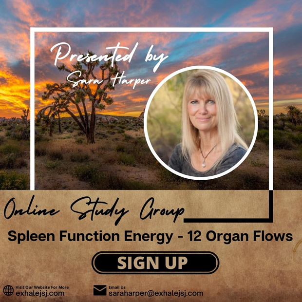 Spleen Function Energy - Online Study Group - The 12 Organ Flows - April 12th (2023)